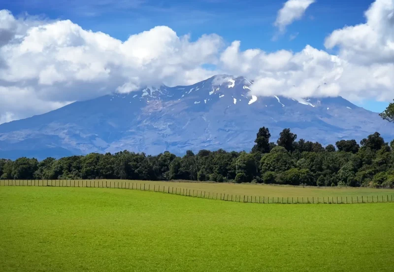 Lush green farmlands seen from the Northern Explorer